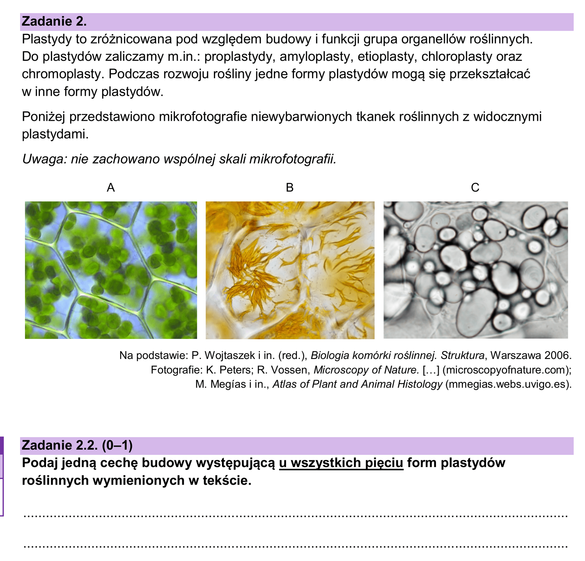 Zadanie 2.2. z arkusza maturalnego z biologii 2025 — polecenie: podaj jedną cechę budowy występującą u wszystkich pięciu form plastydów roślinnych; poziom wykonania 16%